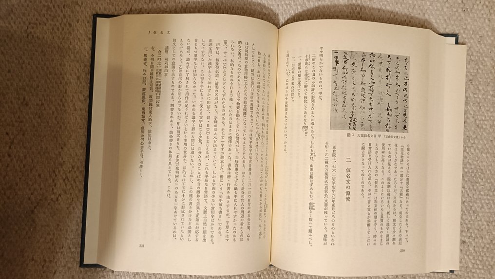 Iwanami Course on Japanese Language and Culture - Japan - Late 20th century #4.3