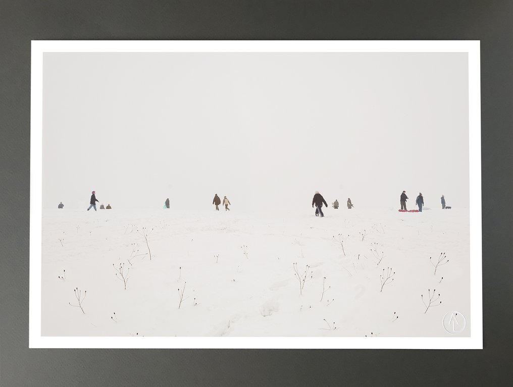 Andre Lichtenberg - Snow Symmetry #1.0