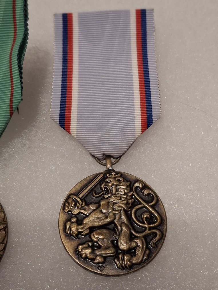 捷克共和國 - 軍功章 #2.1