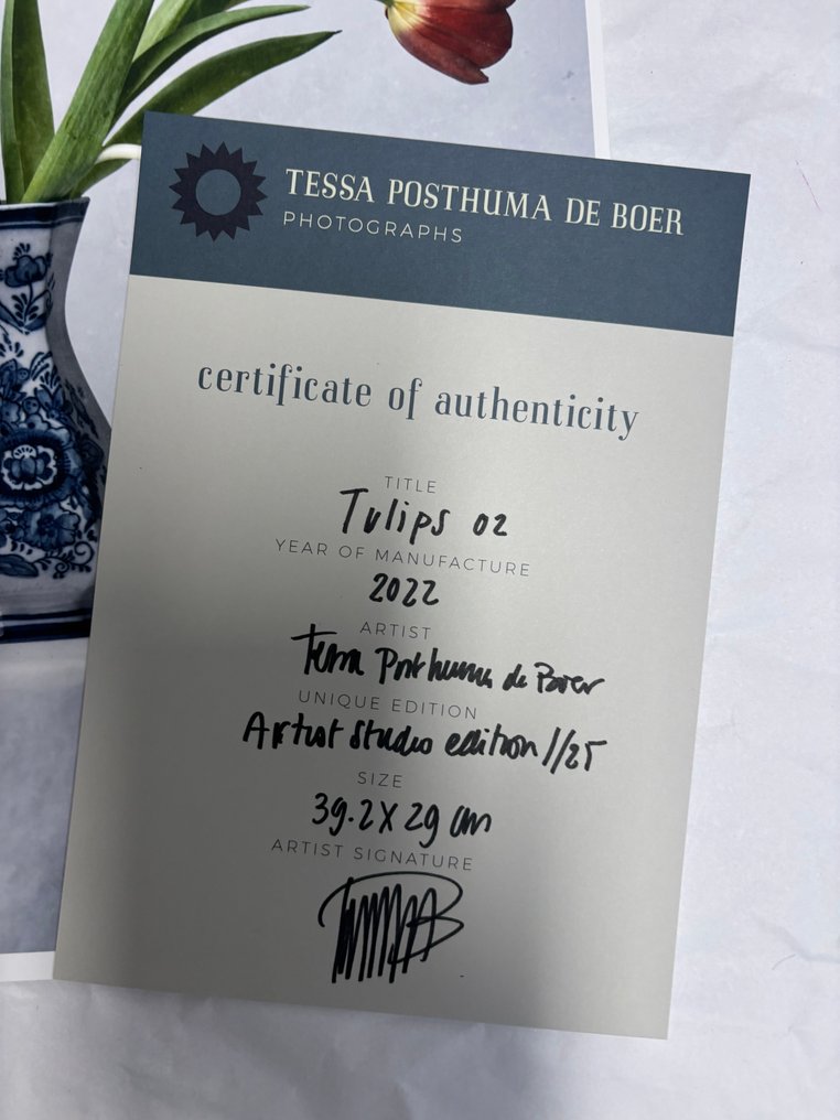 Tessa Posthuma de Boer - Tulips 02 #1.0