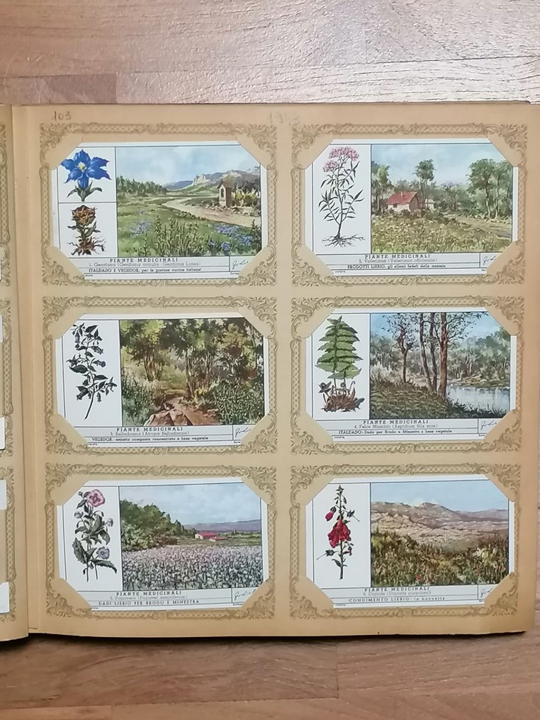 Chromos - 240 Album complet - Liebig #3.2