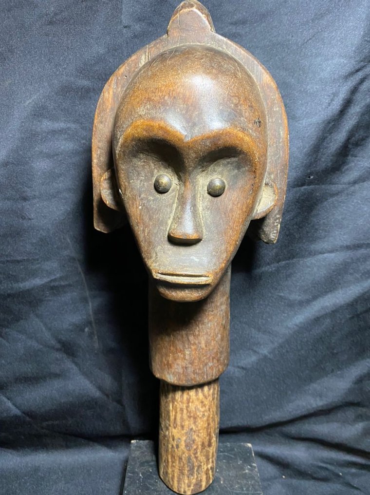 Csodálatos afrikai fang fej - Agyar - Gabon (Nincs minimálár) #1.0