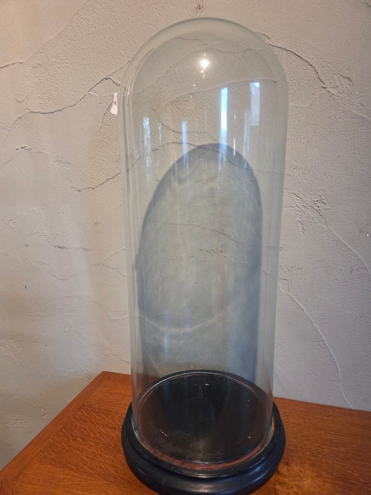 Globe - stolp - antiek - 1901-1920 - Antique round display case with original wooden base, dimensions: height without base approximately #1.0