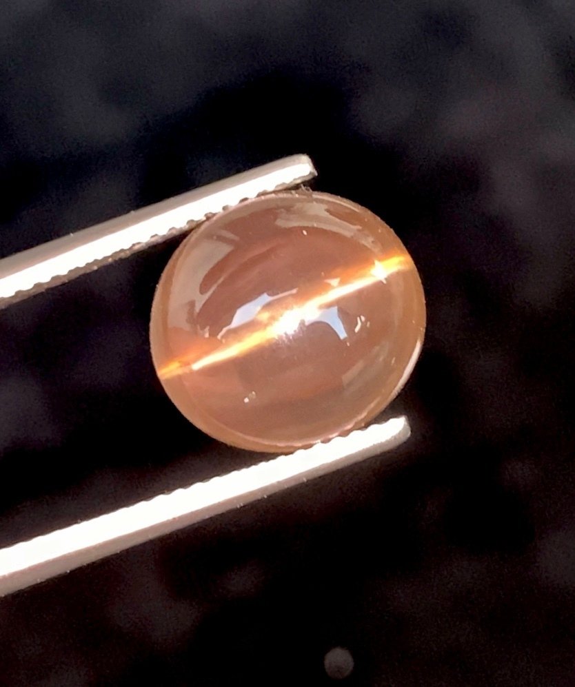 沒有保留價 棕色 石英 - 9.70 ct - 國際有色寶石協會 (ICA GemLab) - 天然石英猫眼 #1.0