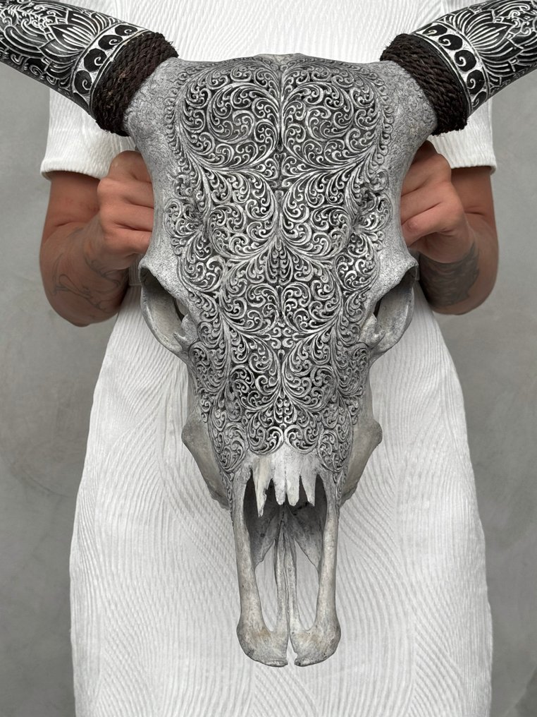 Χωρίς τιμή ελάχιστης προσφοράς - Σκαλισμένο γκρι κρανίο αγελάδας με μποέμ κλειδιά και μοτίβο φτέρης. Λαξεμένο κρανίο - Bos Taurus - 54 cm - 67 cm - 17 cm- Είδη που δεν ανήκουν στο CITES -  (1) #1.0