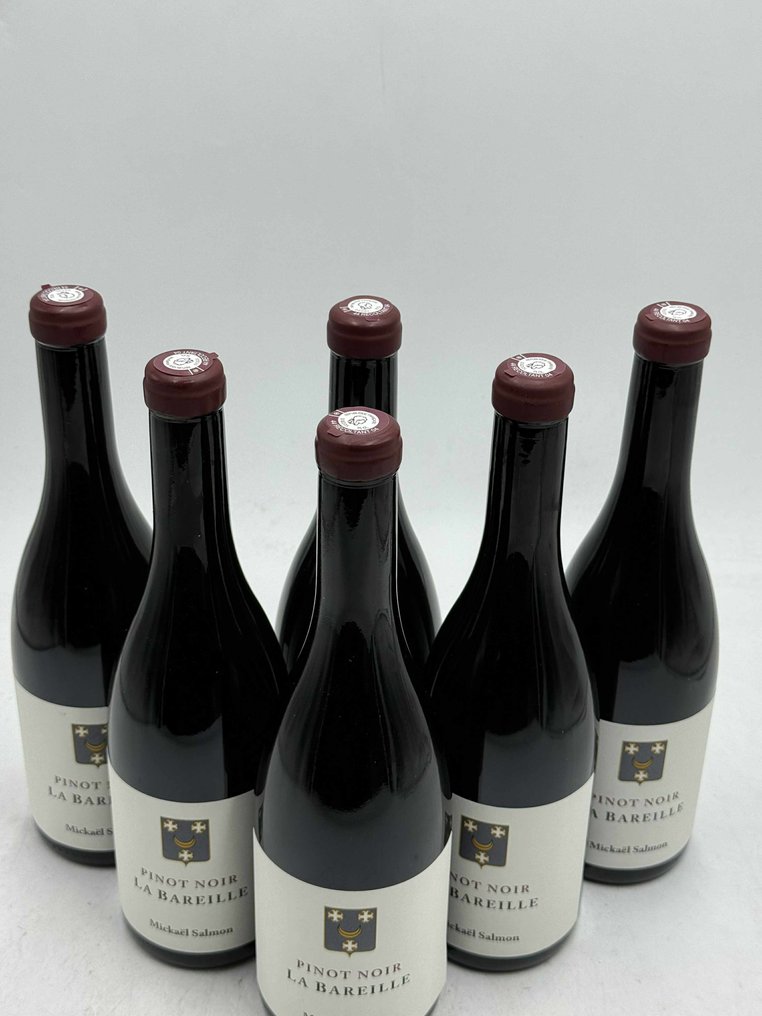 2023 Mickael Salmon "La Bareille" - 卢瓦尔河 - 6 Bottles (0.75L) #3.2