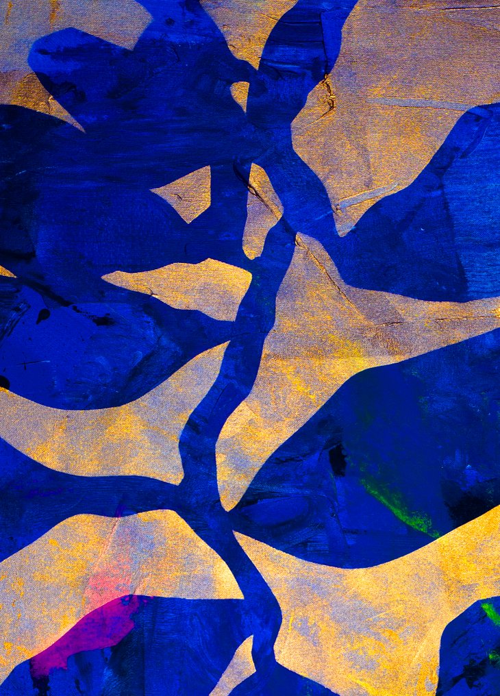 Lupo - Urban Jungle 150 - Real Gold - XXL-NO Reserve #3.2