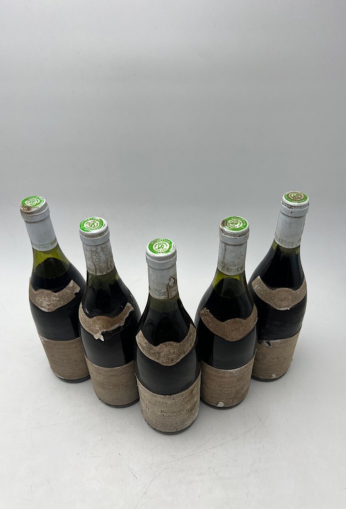 1988 Hautes Côtes de Beaune - Burgundy, Beaune - 5 Bottles (0.75L) #1.0