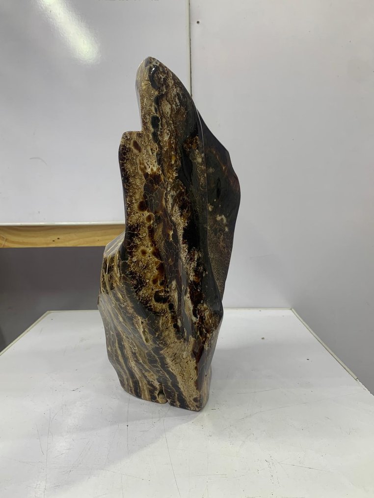 Γυαλισμένο Jasper με μοτίβο λεοπάρδας, εντυπωτικό οβάλ μοτίβο. Ελεύθερη μορφή - Ύψος: 330 mm - Πλάτος: 175 mm - 7300 g - (1) #3.2