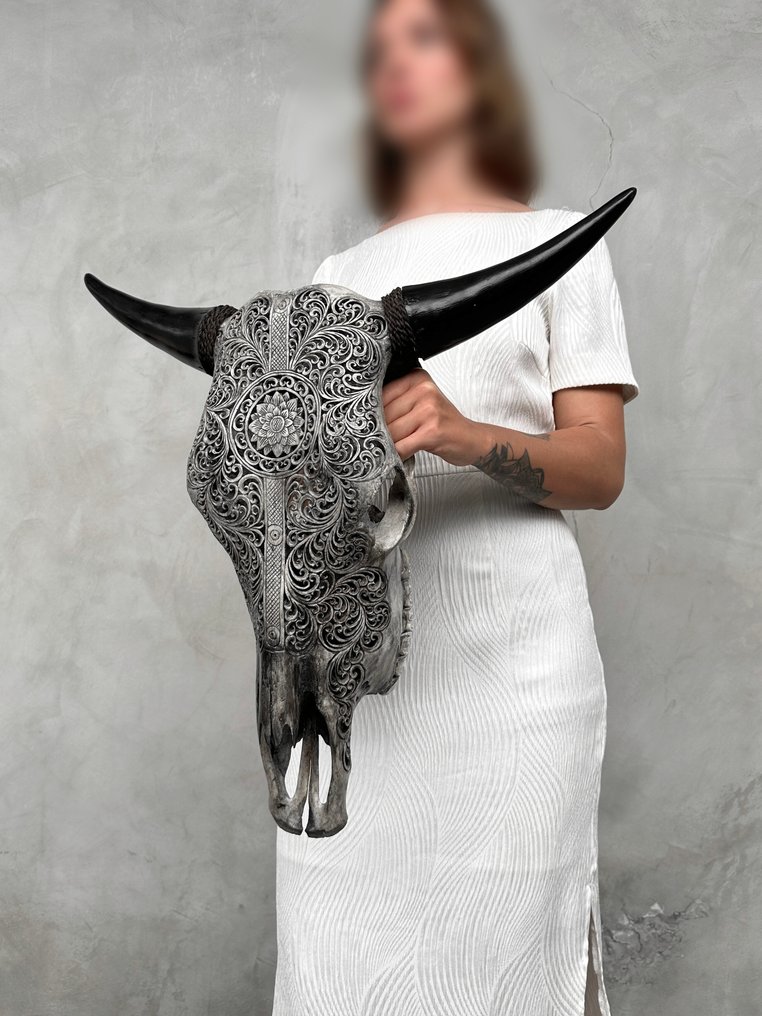 无底价 - 正品大型灰色手工雕刻牛头骨 - 花卉曼陀罗条纹图案 雕刻的颅骨 - Bos Taurus - 57 cm - 60 cm - 17 cm- 非《濒危物种公约》物种 - (1) #3.2