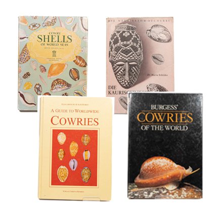 Dr. Maria Schilder / Joyce Allan / Felix Lorenz Jr., Alex Hubert / C.M. Burgess - Buchbundle: Die Kaurischnecke / Cowry Shells of World Seas / A Guide to Worldwide Cowries / Burgess' - 1952-1993 #1.0