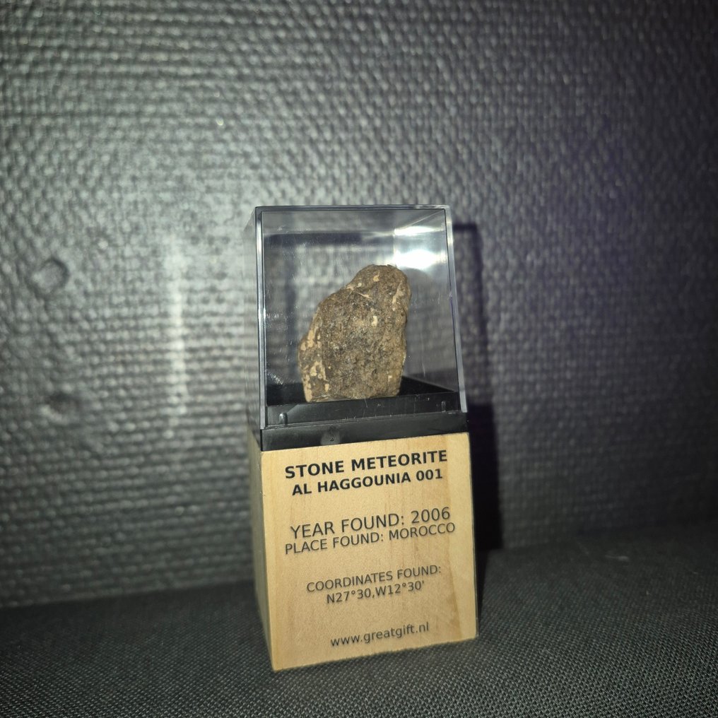 Al Haggounia 001 隕石 Chrondiet陨石 - 支架上 - 高度: 40 mm - 闊度: 26 mm - 26.43 g - (1) #2.1