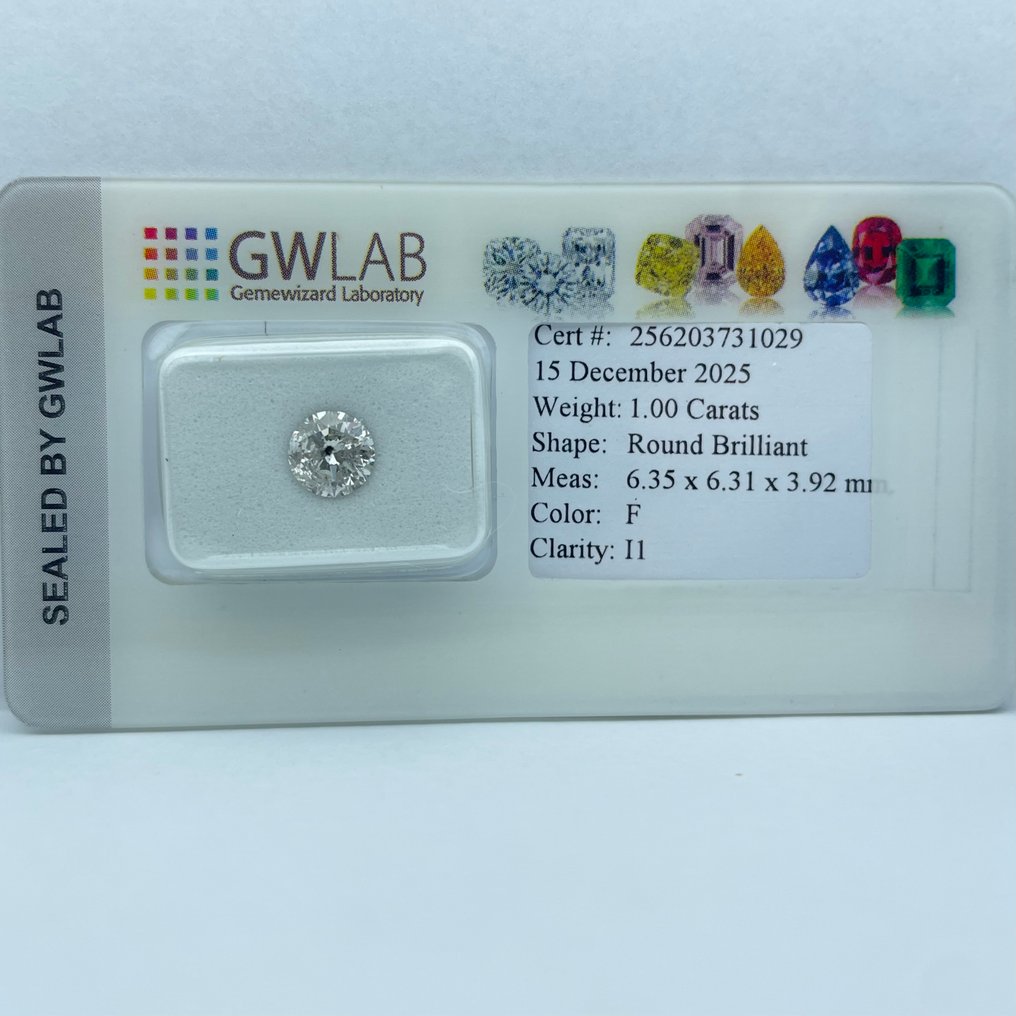 No reserve price - 1 pcs Diamond (Natural) - 1.00 ct - Round - F - I1 - Gemewizard Gemological Laboratory (GWLab) #4.3