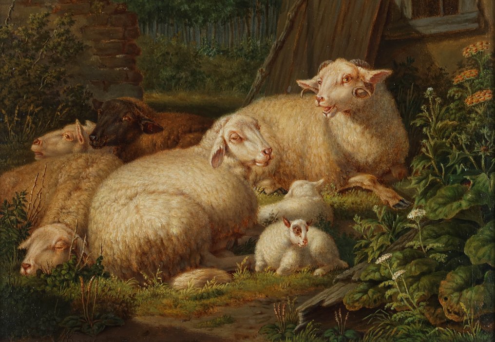 Augustus Knip (1819-1859) - Schapen #3.2