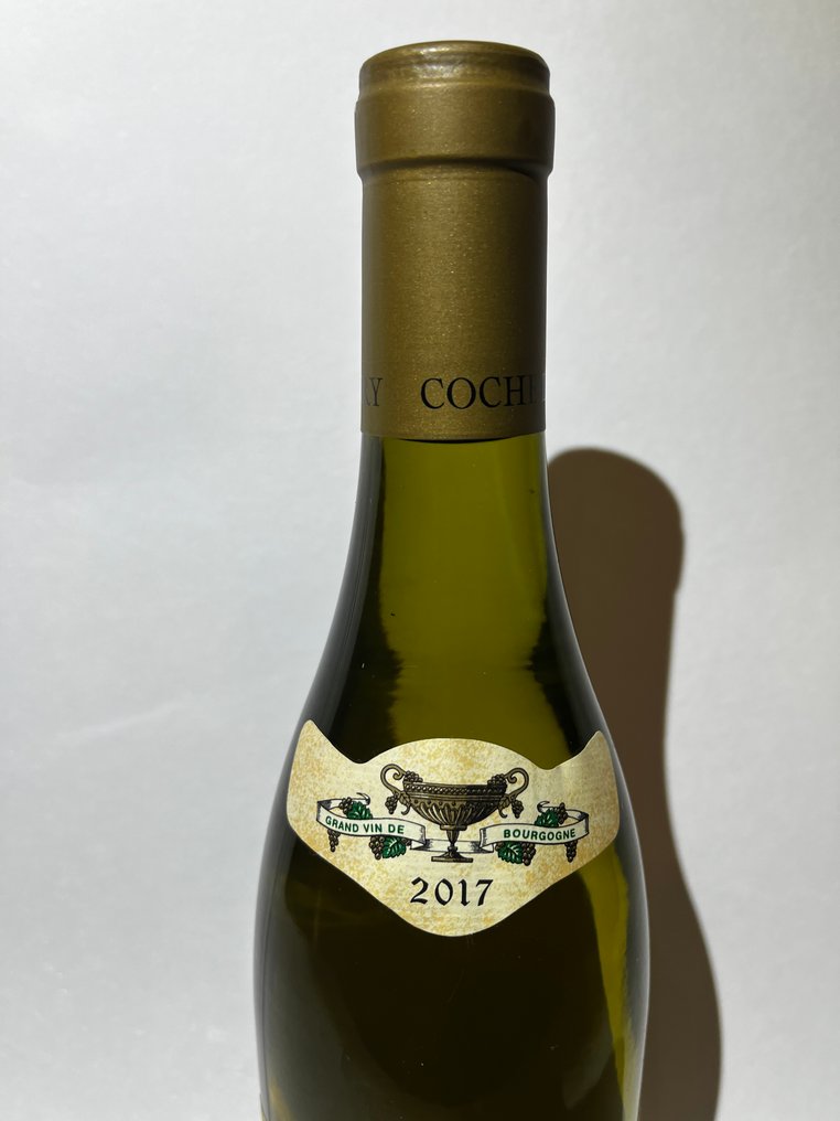 2017 Domaine Coche-Dury - Meursault - 1 Botella (0,75 L) #1.0