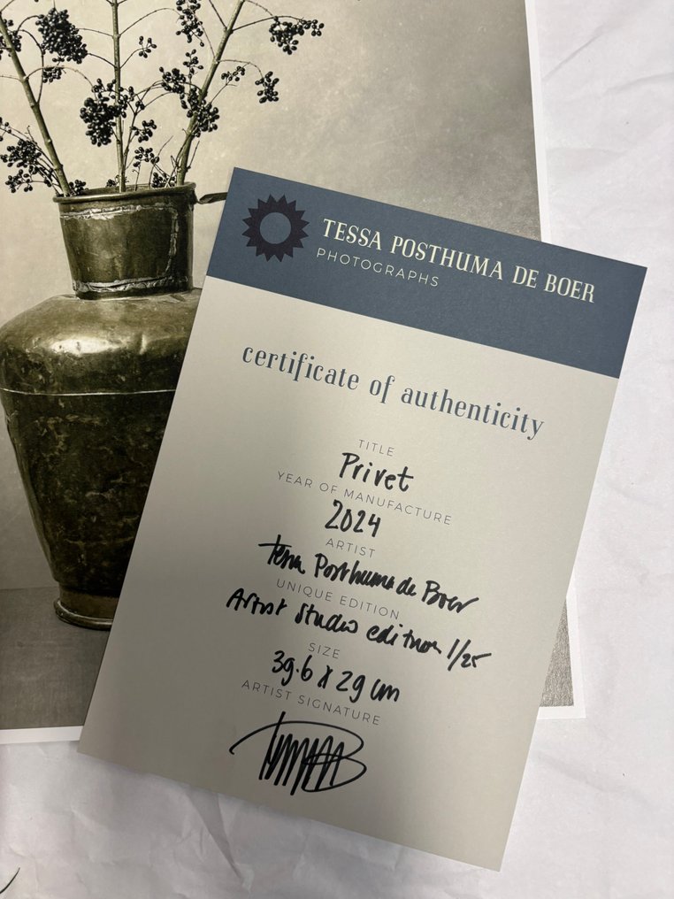 Tessa Posthuma de Boer - Privet #3.2