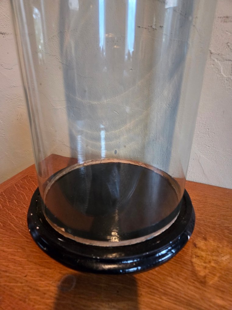 Globe - stolp - antiek - 1901-1920 - Antique round display case with original wooden base, dimensions: height without base approximately #2.1