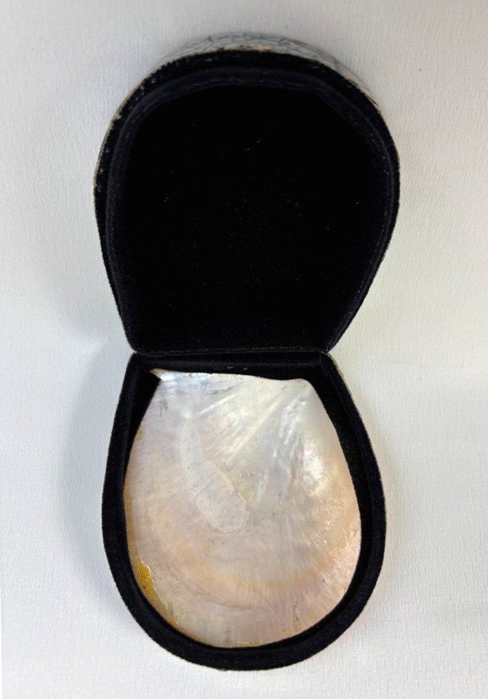 geen merk - Schelpendoosjes - Jewellery case #4.3