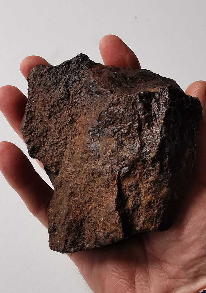 球粒隕石 NWA - 高度: 100 mm - 闊度: 90 mm - 660 g - (1) #1.0