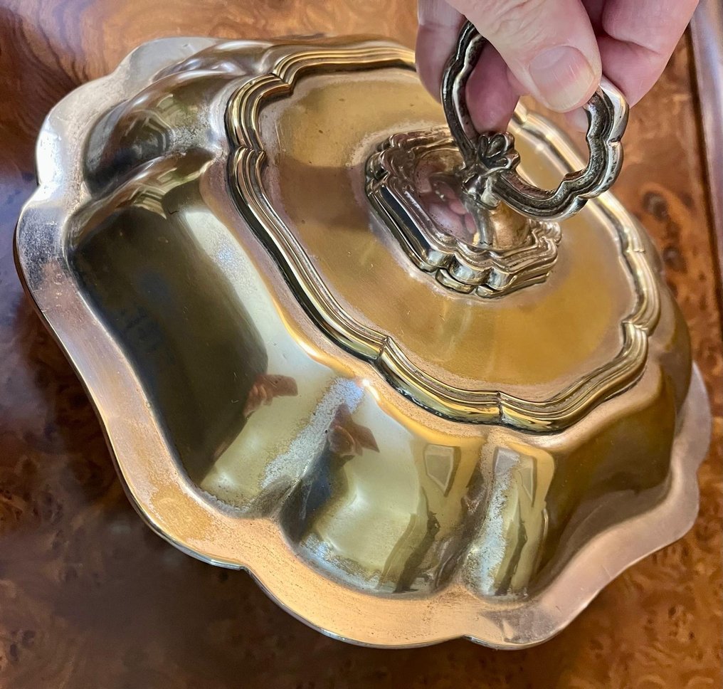 大盘 - 银色羊驼 #4.3