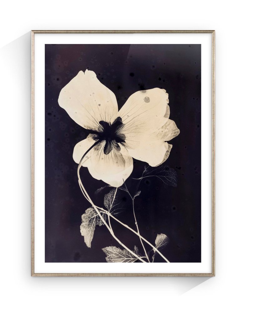 Jorge Omeñaca (1981) - Flowering II #1.0