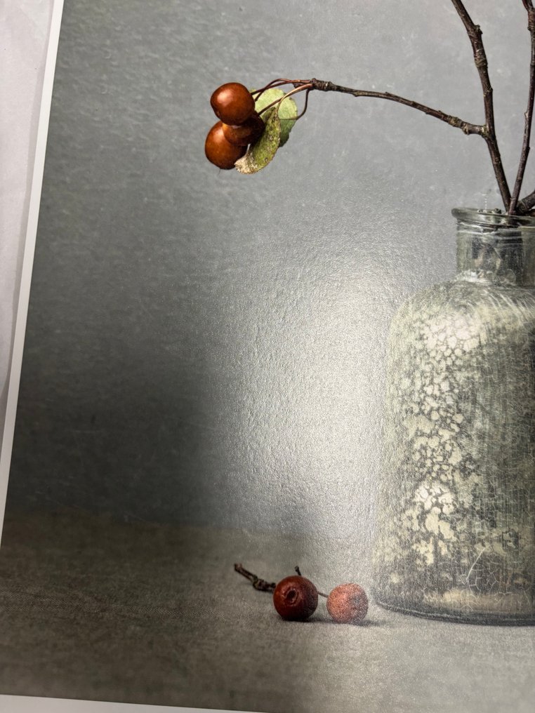 Tessa Posthuma de Boer - Cherries #2.1