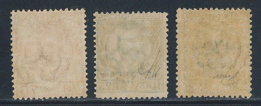 意屬厄利垂亞  - 花卉系列，系列编号113/5。 #1.0