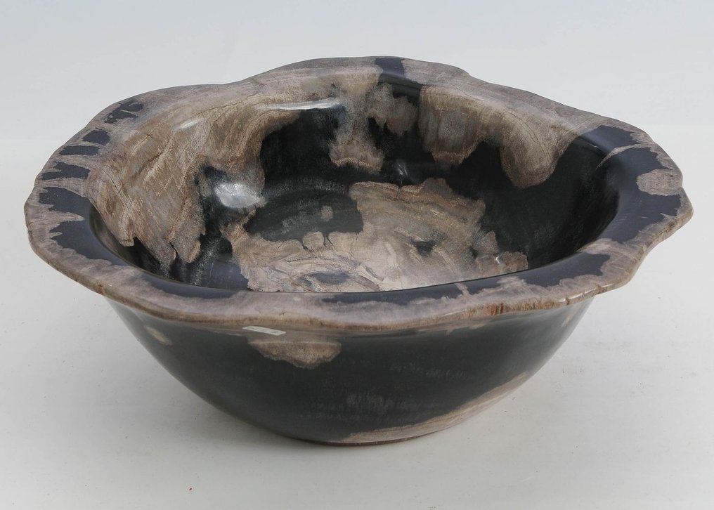 Bois pétrifié - Bois fossilisé - 12 cm - 34 cm #3.2