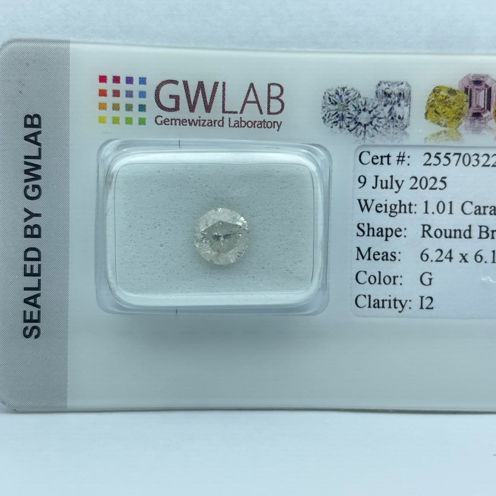 Senza prezzo di riserva - 1 pcs Diamante  (Naturale)  - 1.01 ct - Rotondo - G - I2 - Gemewizard Gemological Laboratory (GWLab) #1.0