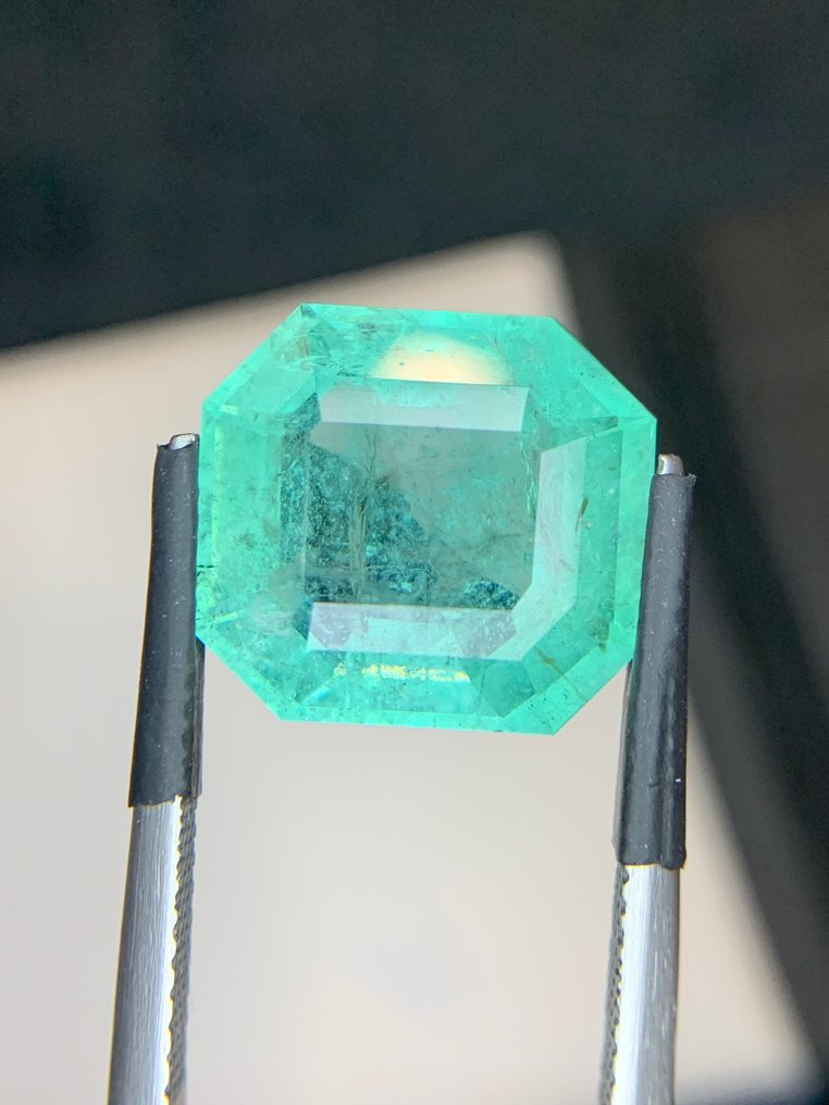 1 pcs  绿色 祖母绿  - 10.59 ct - Bellerophon 宝石实验室 - 奇特拉尔巴基斯坦翡翠 #1.0