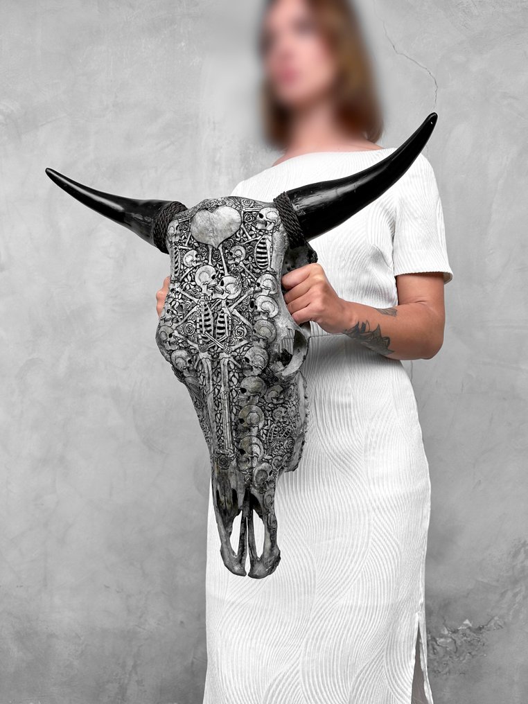 Ingen minstepris - Ekte stor grå utskåret okse- og menneskeskjelettpar-motiv. Utskåret hodeskalle - Bos Taurus - 60 cm - 57 cm - 18 cm- Ikke-CITES arter -  (1) #2.1