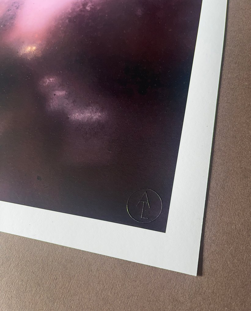 Andre Lichtenberg - Window 23-07 Pink with Car #3.2