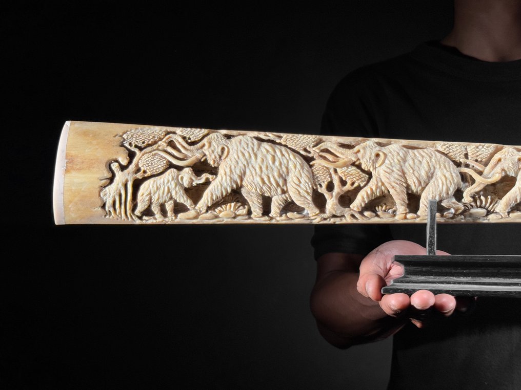 ΧΩΡΙΣ ΕΛΑΧΙΣΤΗ ΤΙΜΗ - Μεγάλο ρηγέλιο ξιφία σε ειδική βάση - Προϊστορικό Άγριο Ζώο - Ρύγχος - Xiphias Gladius - 14 cm - 95 cm - 6 cm- Είδη που δεν ανήκουν στο CITES -  (1) #1.0