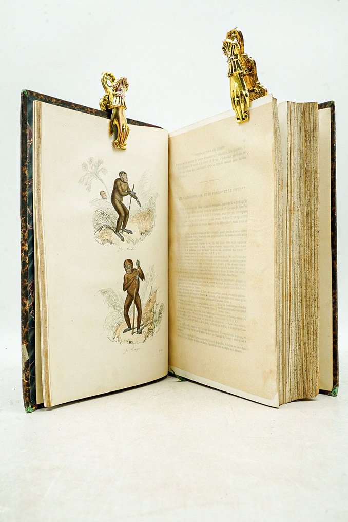 Buffon & M. Flourens - Œuvres de Buffon : Les singes, Additions aux quadrupèdes - 1855 #2.1