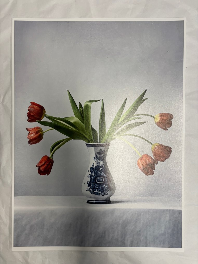 Tessa Posthuma de Boer - Tulips 02 #3.2