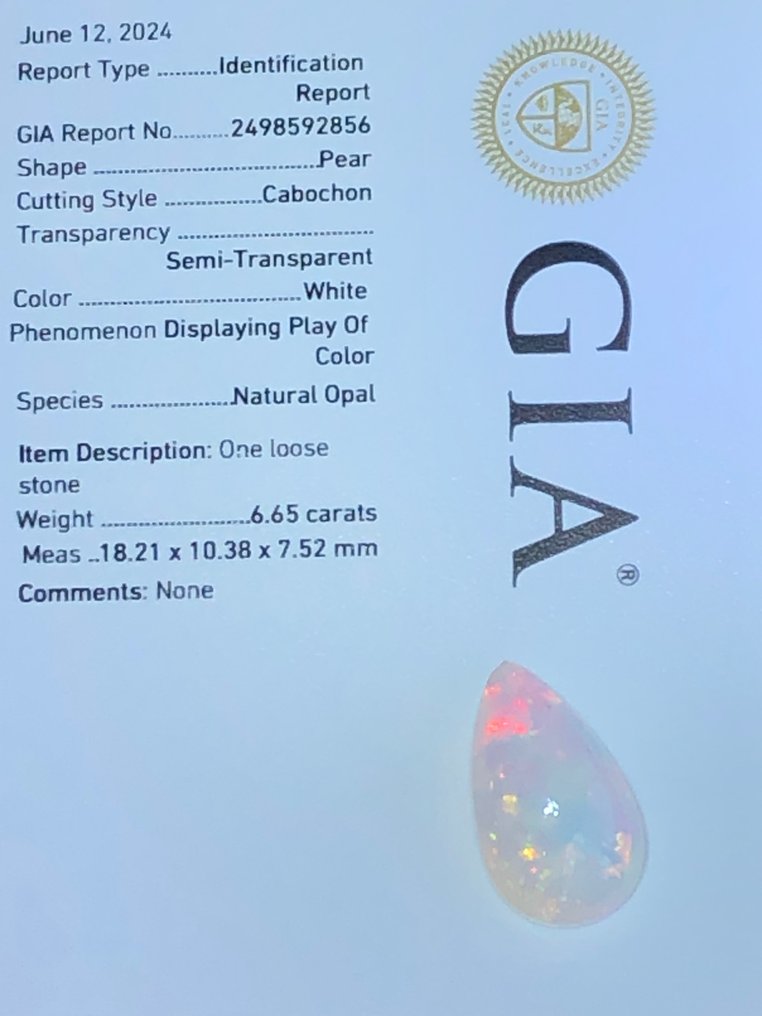 1 pcs  白色 蛋白石  - 6.65 ct - 美国宝石研究院（GIA） #1.0