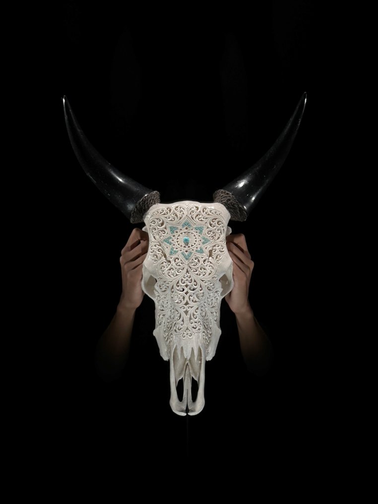 Χωρίς ελάχιστη τιμή - Εκθαμβωτικό λευκό ξυλόγλυπτο κρανίο αγελάδας - Μοτίβο αστέρι Μαντάλα με Λαξεμένο κρανίο - Bos Taurus - 55 cm - 43 cm - 16 cm- Είδη που δεν ανήκουν στο CITES -  (1) #2.1
