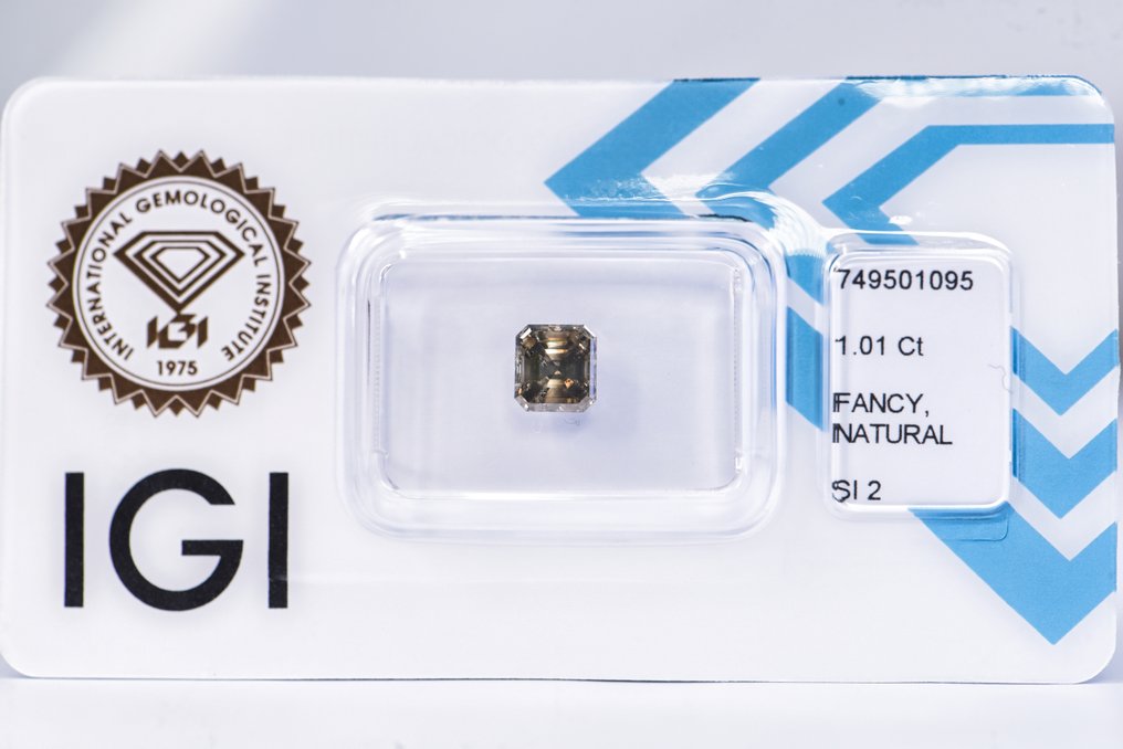 Ingen mindstepris - 1 pcs Diamant  (Naturfarvet)  - 1.01 ct - Smaragd - Fancy deep Grålig Brun - SI2 - International Gemological Institute (IGI) - VG VG #1.0