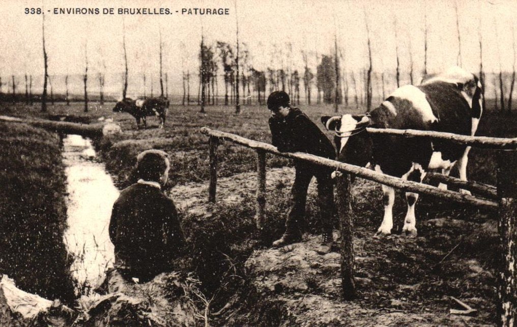 比利时 - 城市和景观 - 多样的省份 - 配备更好的地图 - 明信片 (200) - 1904-1965 #2.1