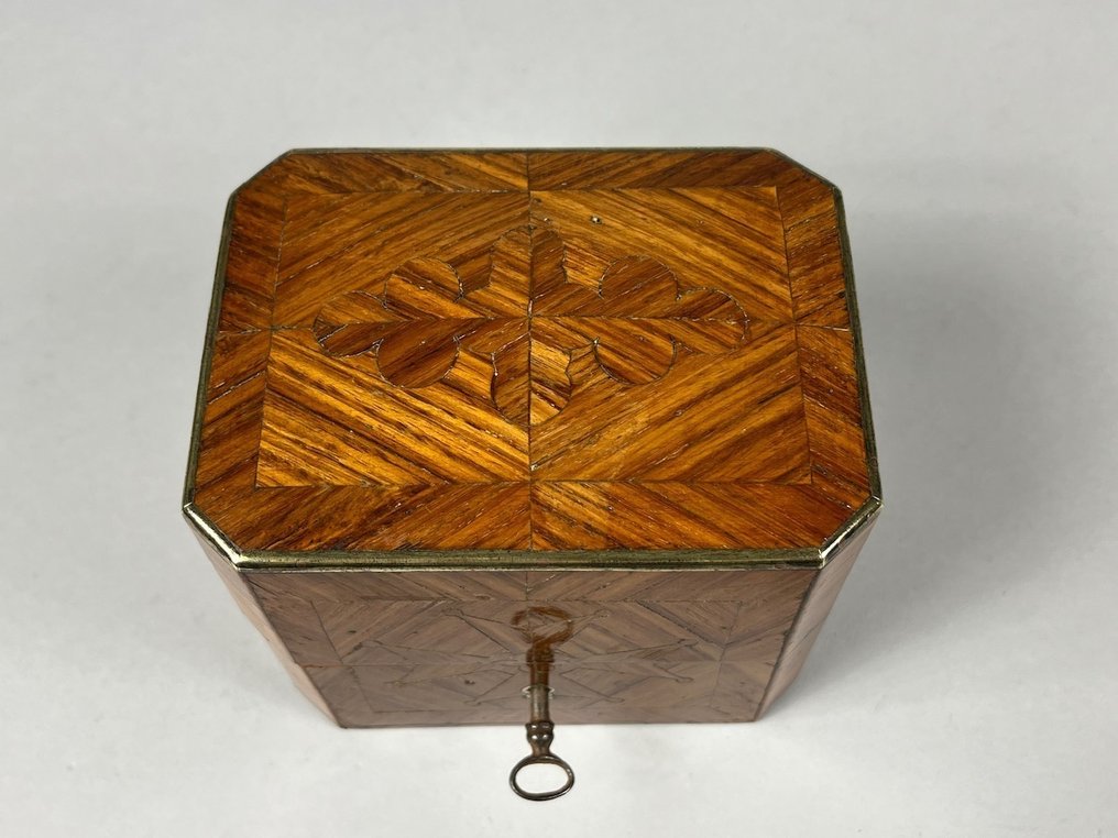 Boks - Tulipantræ #2.1