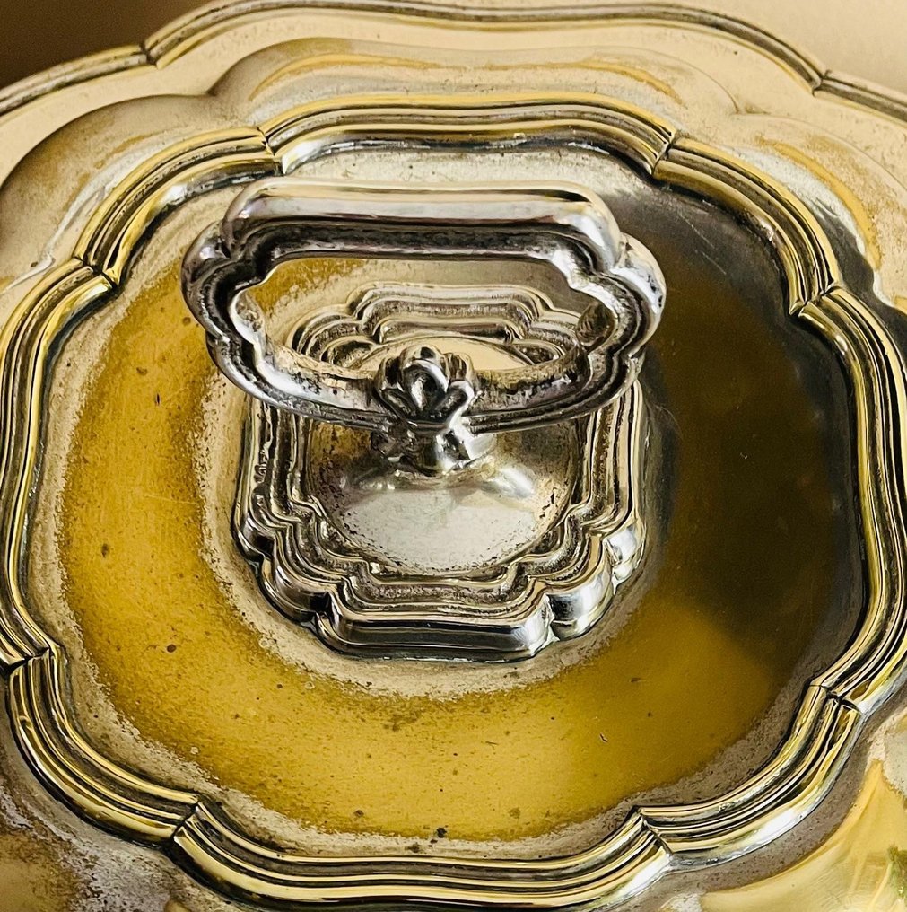 大盘 - 银色羊驼 #3.2