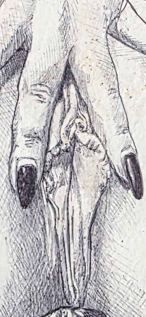 Chavar, Hernàn - 1 Original drawing - altro - 2025 #3.2