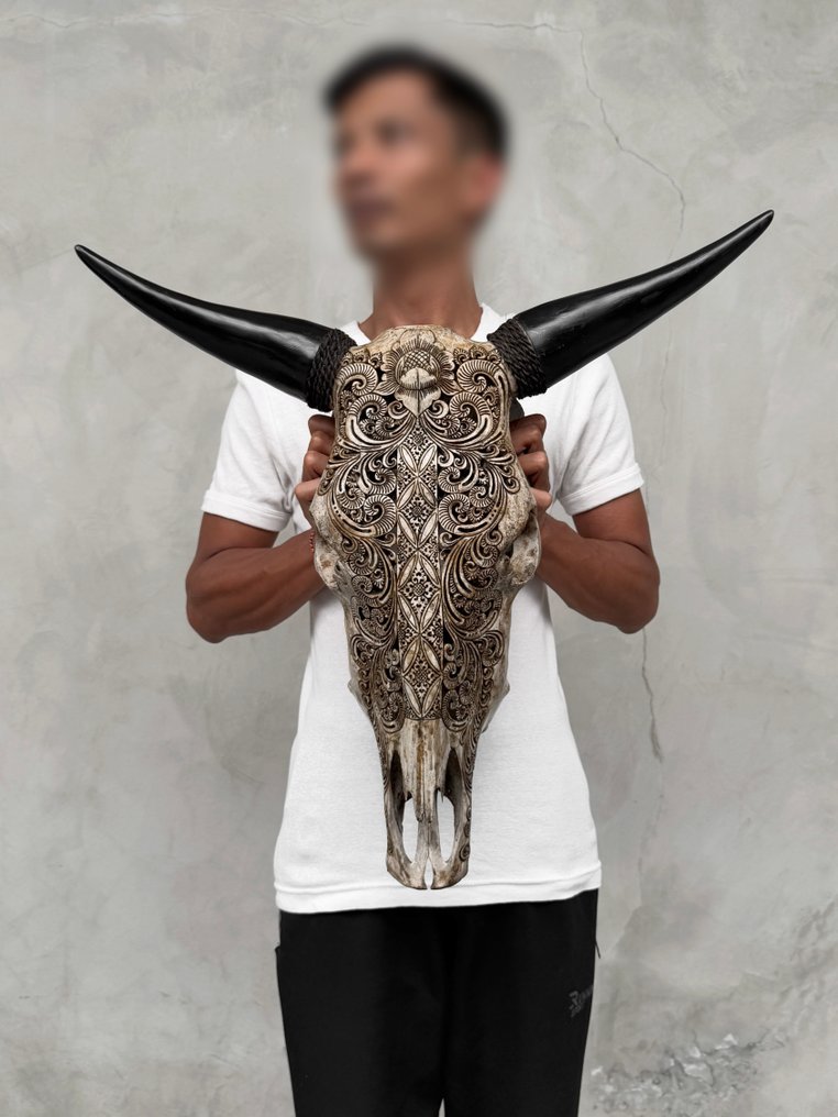 Χωρίς ελάχιστη τιμή - Αυθεντικό μεγάλο καφέ ξύλινο κρανίο ταύρου, χειροποίητο, με μοτίβο Lotus Λαξεμένο κρανίο - Bos Taurus - 55 cm - 56 cm - 22 cm- Είδη που δεν ανήκουν στο CITES -  (1) #4.3