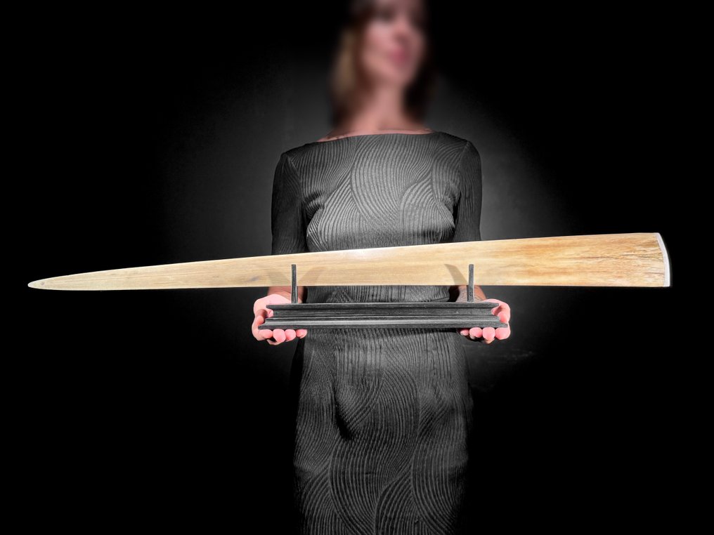 Χωρίς τιμή ελάχιστου ορίου - Επιπλέον μεγάλο χειροποίητο ξίφος - Σκαλιστό ελέφαντα Savannah. Ρύγχος - Xiphias Gladius - 14 cm - 88 cm - 6 cm- Είδη που δεν ανήκουν στο CITES #4.3