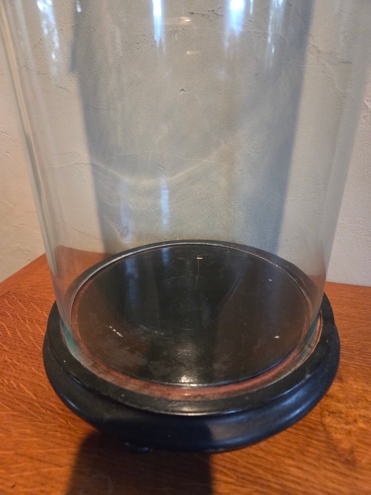 Globe - stolp - antiek - 1901-1920 - Antique round display case with original wooden base, dimensions: height without base approximately #4.3