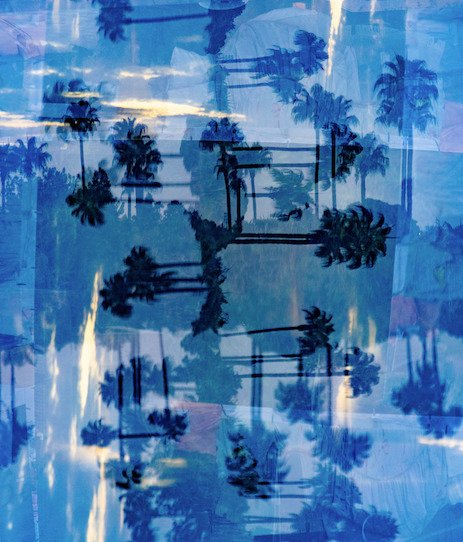 Ben Dauchez - An after noon at Majorelle #6 #1.0