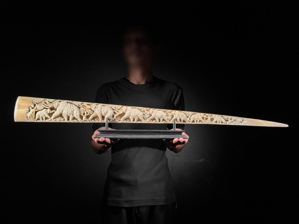 ΧΩΡΙΣ ΕΛΑΧΙΣΤΗ ΤΙΜΗ - Μεγάλο ρηγέλιο ξιφία σε ειδική βάση - Προϊστορικό Άγριο Ζώο - Ρύγχος - Xiphias Gladius - 14 cm - 95 cm - 6 cm- Είδη που δεν ανήκουν στο CITES -  (1) #1.0