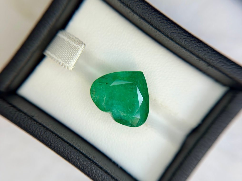 没有保留价 - 1 pcs  绿色 祖母绿  - 12.55 ct - 莲花宝石实验室 - 稀有次要油丰富的绿色 #1.0