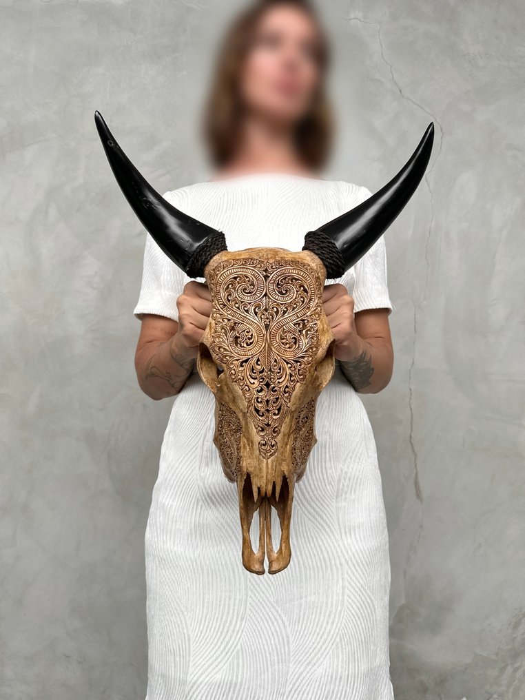 Χωρίς ελάχιστη τιμή - Αυθεντικό καφέ κρανίο αγελάδας χειροποίητο, με μοτίβο φύλλου. Λαξεμένο κρανίο - Bos Taurus - 53 cm - 41 cm - 16 cm- Είδη που δεν ανήκουν στο CITES -  (1) #4.3