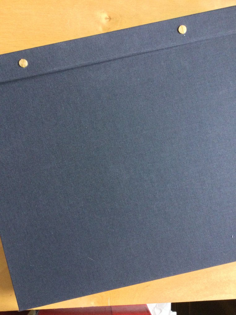 Belgium 1900/1985 - Collection (back of book) in Davo albums #1.0